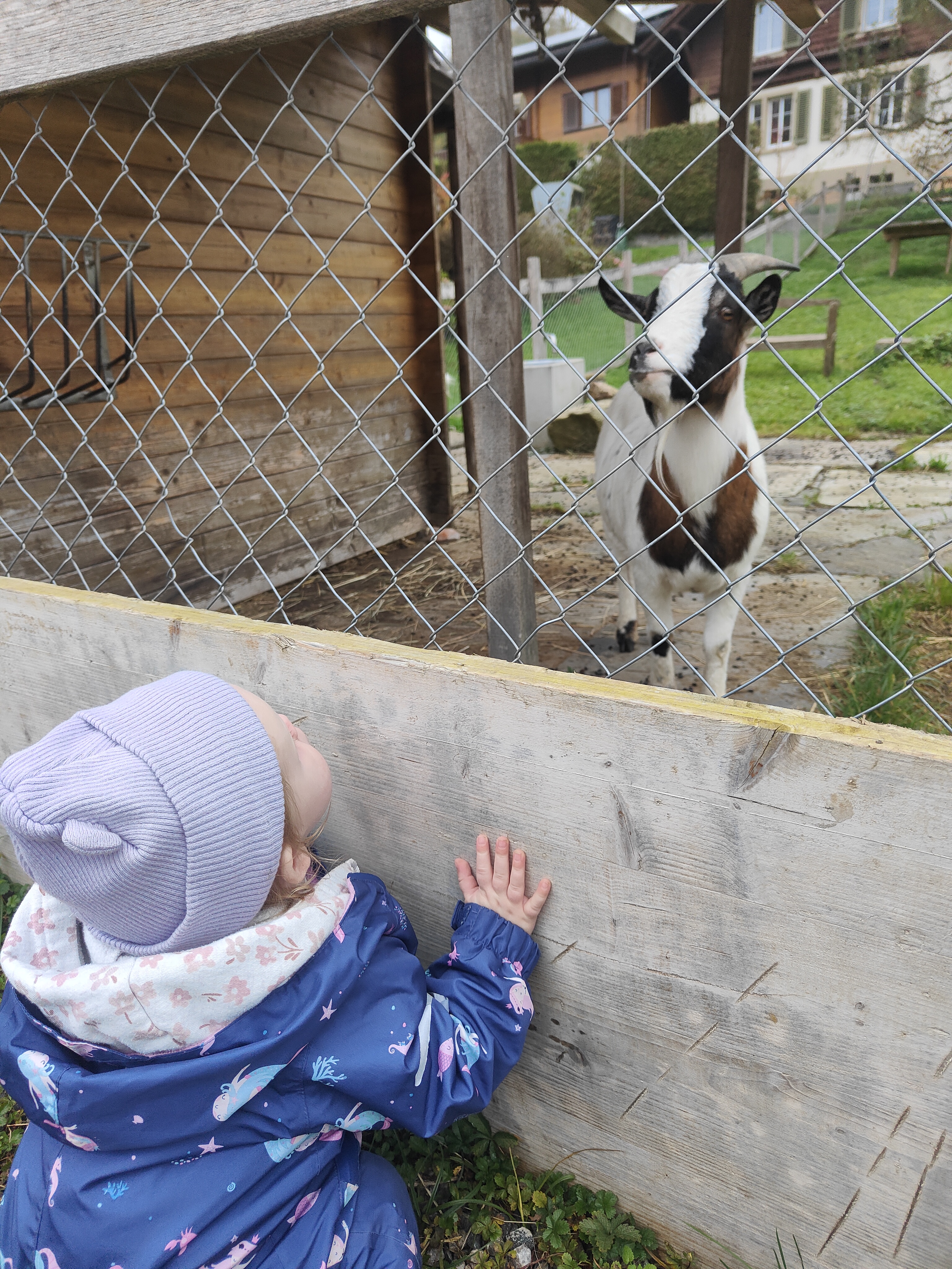Children enjoying a walk outside