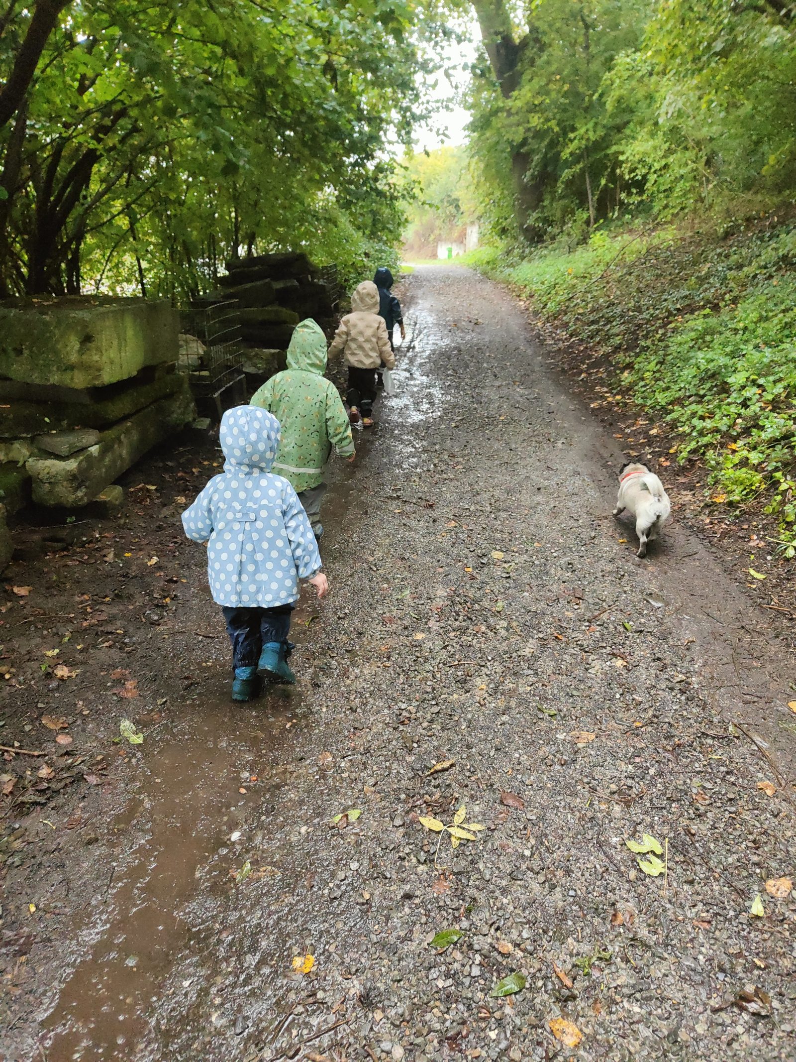 Children enjoying a walk outside with the dog